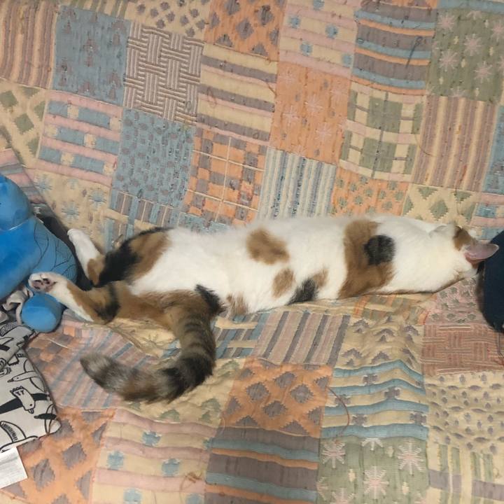 D377b257 5704 4a8c 86f7 b69720b3e30b 1588597356186