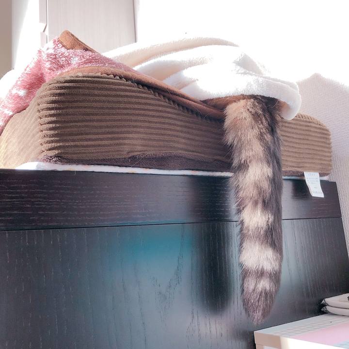 D377e8a6 22b0 4459 85bc e18128707e81 1554193193838