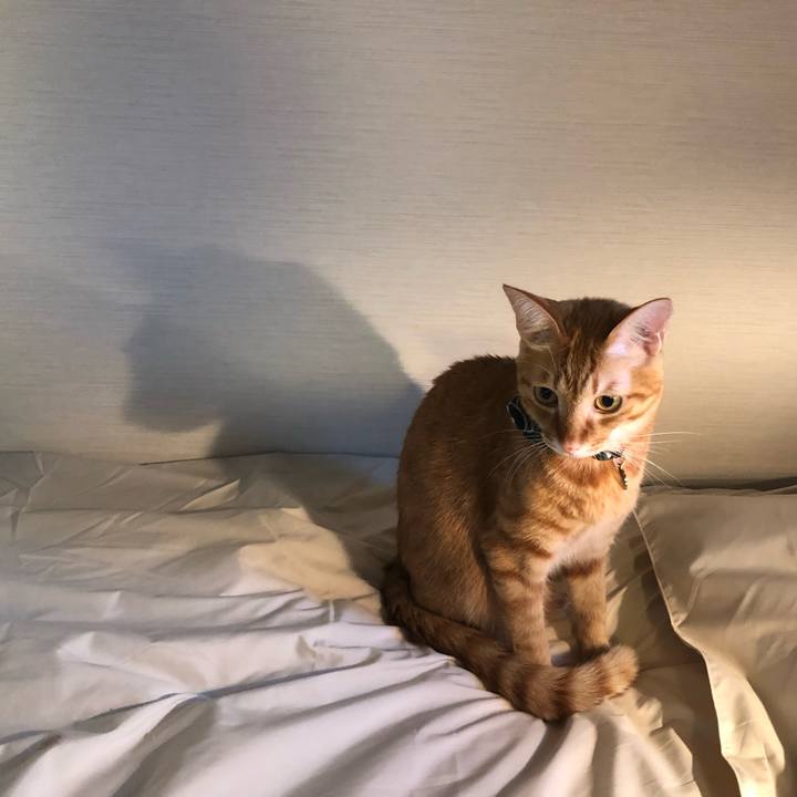 D377eadf 5238 4aaf aaf8 8817b9270134 1628975510202