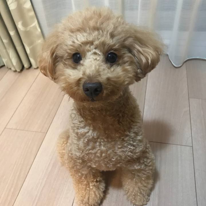 D377f1eb 3ea4 4962 b87b 1aab4ccbd2b7 1521193545926