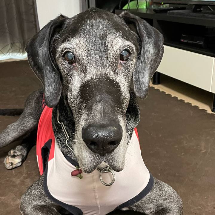 D377f6f4 13a7 43c2 9337 de9192bc2a1f 1659308588572