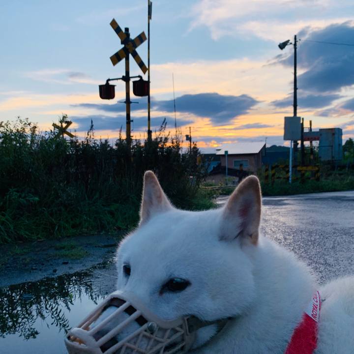 D37800d6 0fb4 4eb5 91e6 3a5e59739a8c 1600636231663