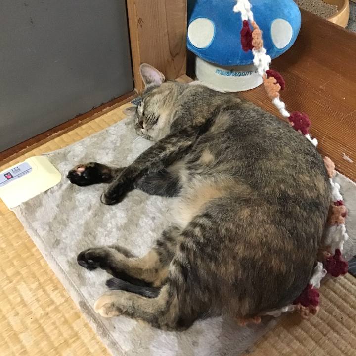 D37841f2 b515 4e9a aca8 93517365b3d2 1654759211428