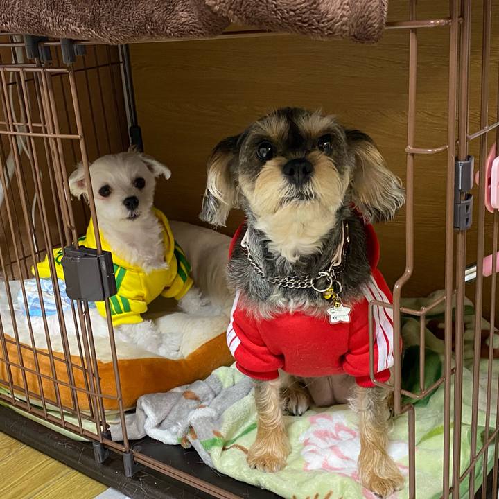 D3784649 3377 4ba7 8e8f 603edb8d4d59 1579706696124