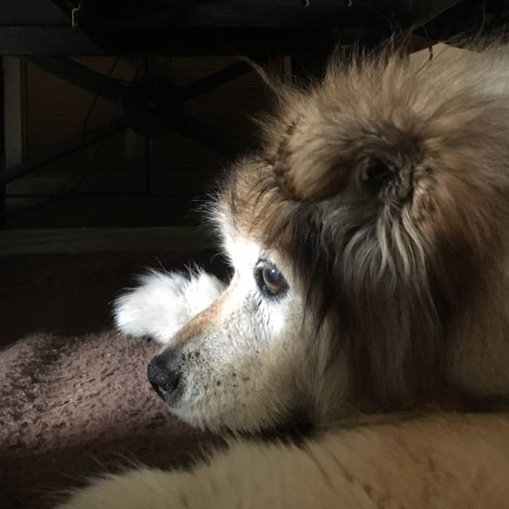 D3784704 9d66 4614 b64f 7eff390b4e36 1547975259554