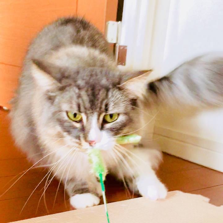 D37847d1 70a2 4e14 bcb3 4ba378562fac 1519255184042