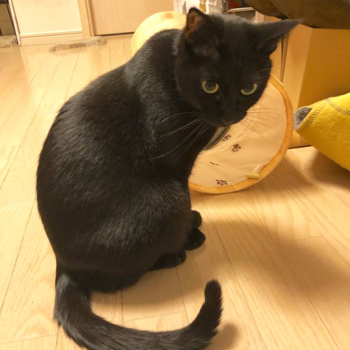 D378da59 37f7 400d b38d d31c06af7bc2 1582120566111