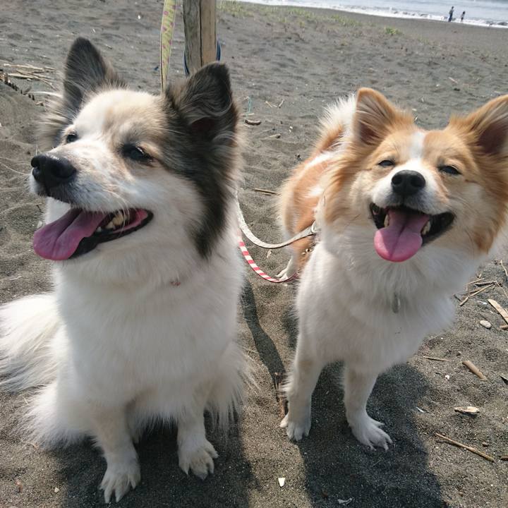 D378ed01 2dca 4b0d 9c8b daea7610bb14 1554639928028