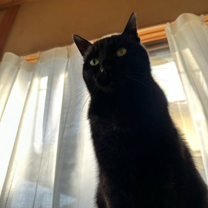 D379201e 958b 4c7c bc8b 402008668e3e 1672540870561