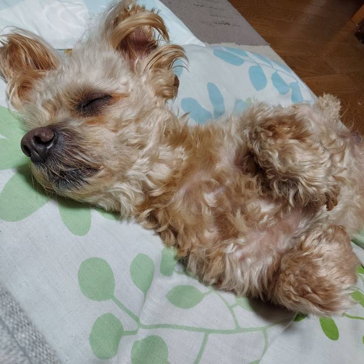 D3795065 6a6f 4c6f acdb 19983e9e361c 1744973902716