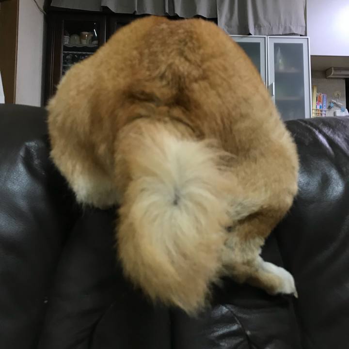 D3798350 6e4a 4055 868b 78303bff956c 1513913198546