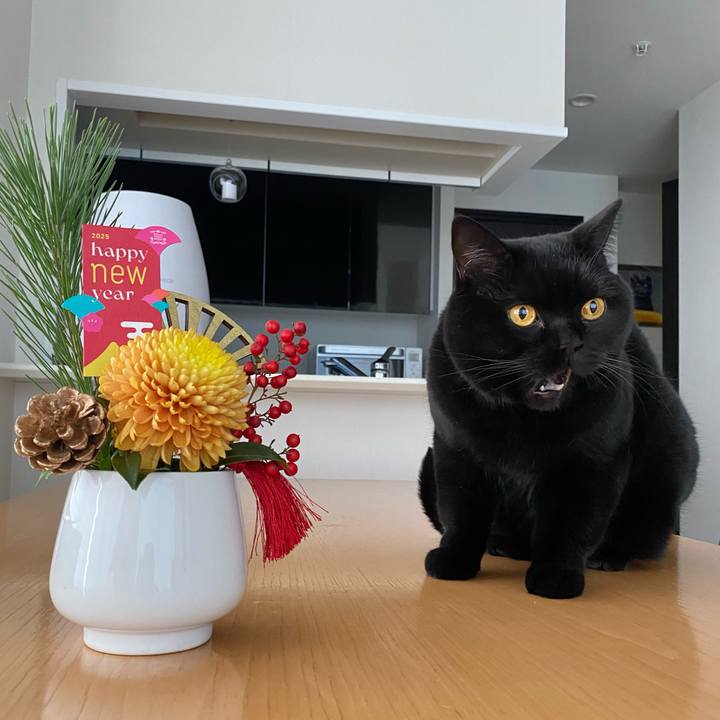 D379a587 169f 40c0 8292 b007aade8ea1 1735698263031