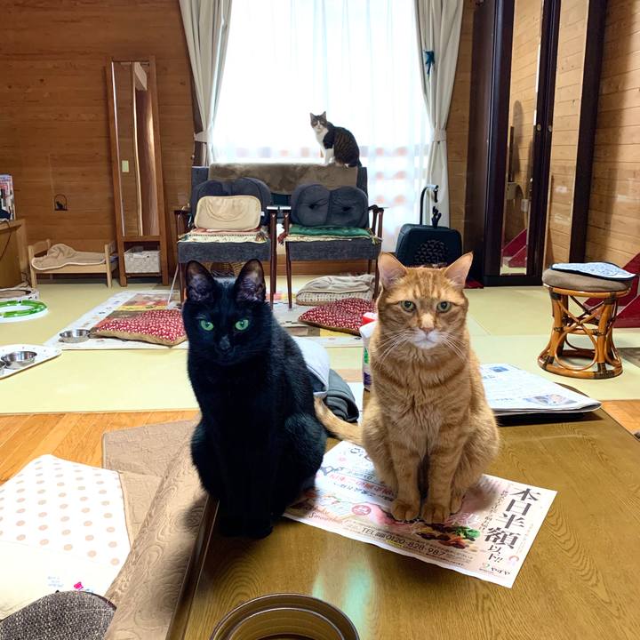 D379fcd4 e214 4237 a50f e274319f80c2 1586992384419