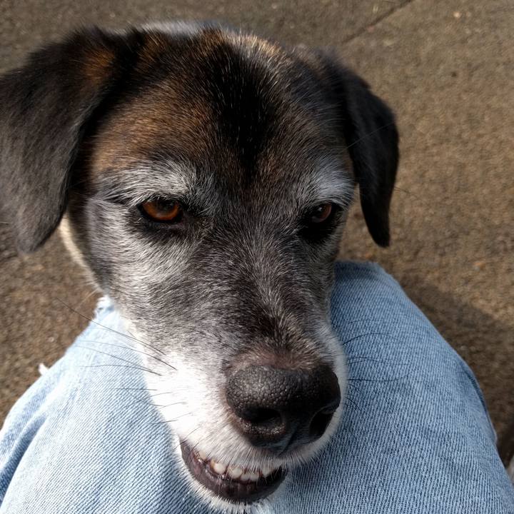 D37a153f 0dea 407a 92eb 320ab7acc7b3 1684457021170