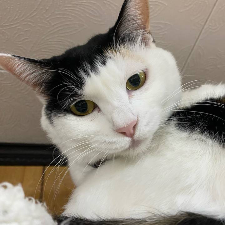 D37a1621 785c 4a60 9097 cb961b7fbed1 1700920843019