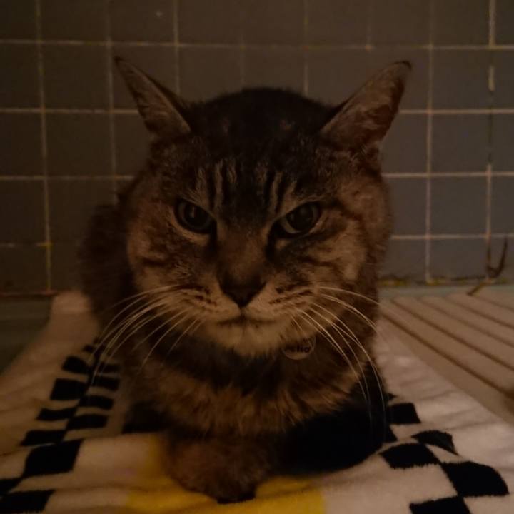 D37a5165 fb73 4cb6 8875 5062836b1cfd 1580462931598