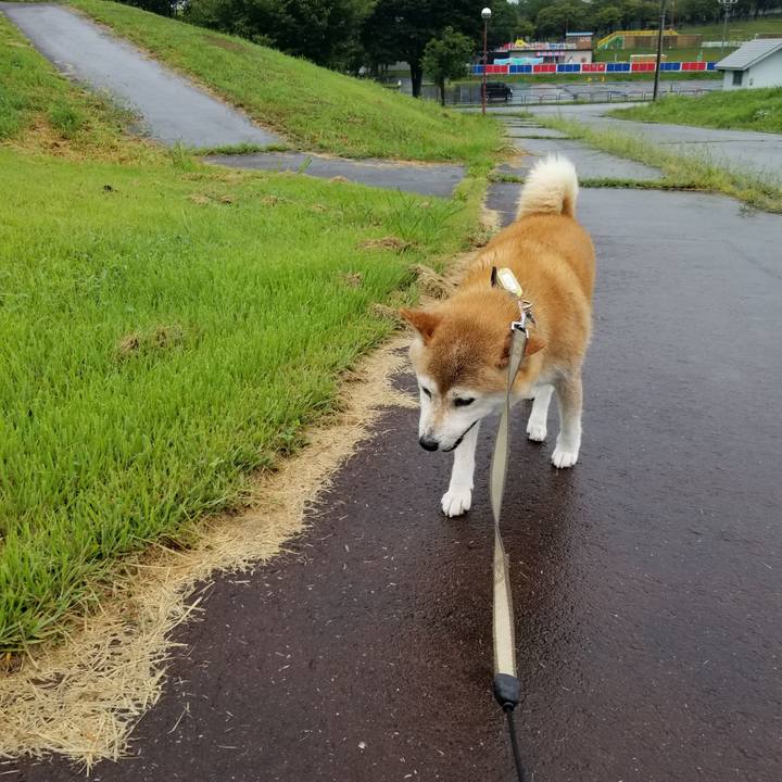 D37a5320 5993 4535 a99a 1459b4029976 1660717958429