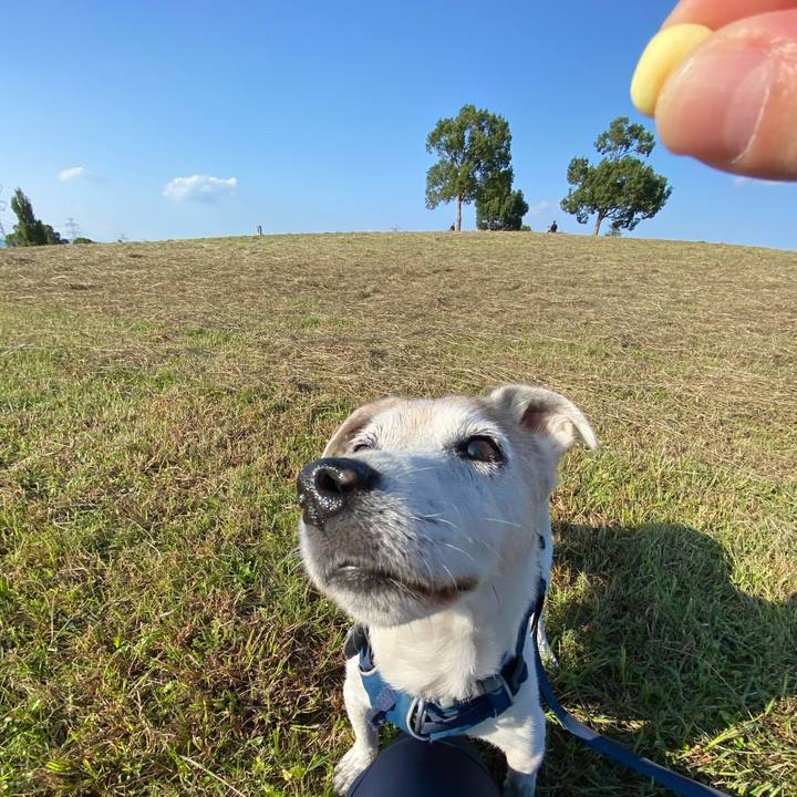 D37a5373 b847 40dd b37b 8de82587cb8d 1666510810942