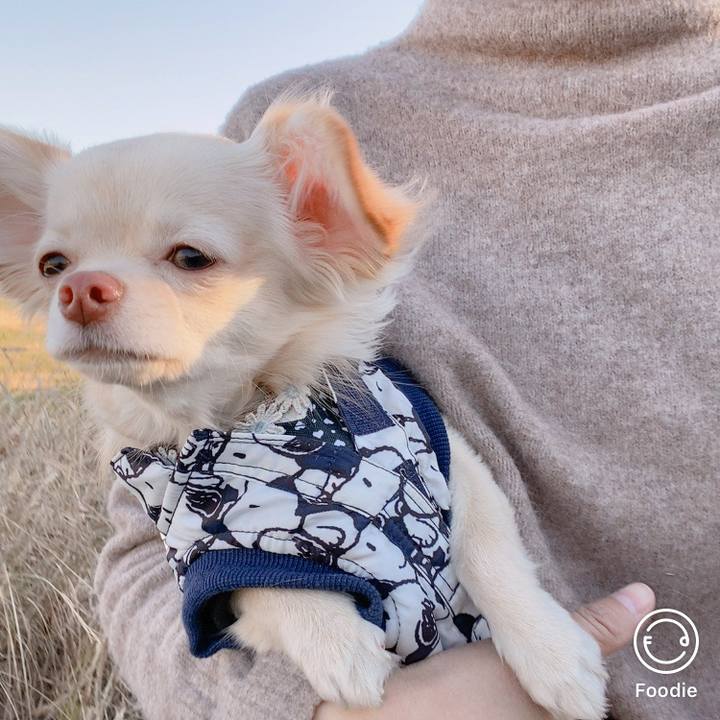 D37a6aa4 ef5f 4e45 89ac 90a877e9d993 1608622461936