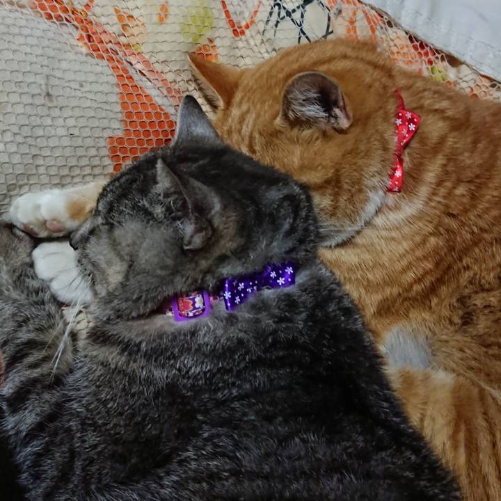 D37a70c1 153b 4866 9a9b 347133176dcd 1578147295482