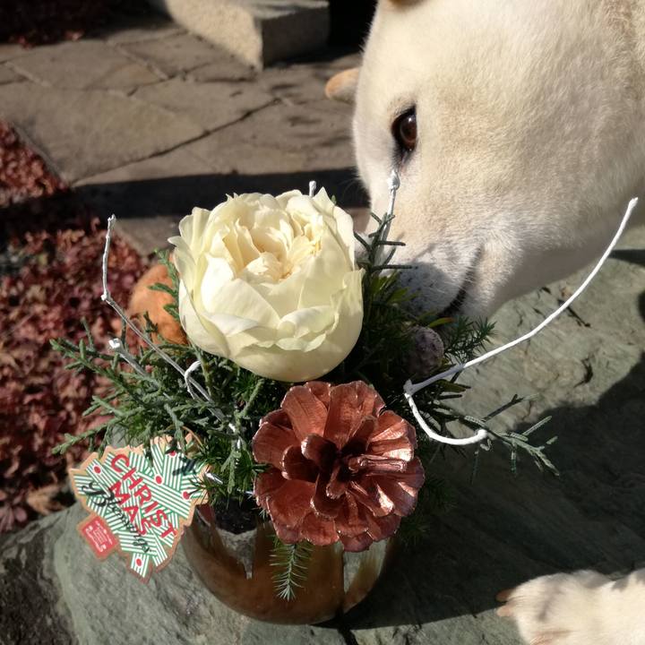 D37a7a48 c99b 4183 8722 9b17dbbbb829 1514038976630