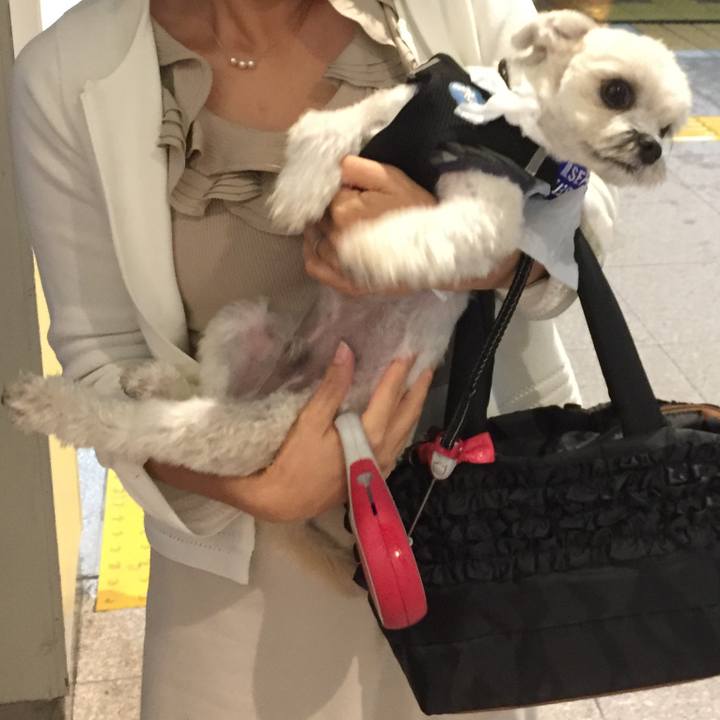 D37a872a 5679 4060 abc6 1aa0a0a73193 1507893327615