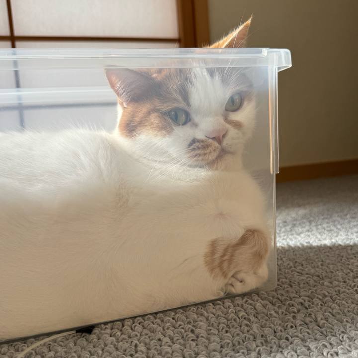 D37ab726 8bf2 43ab a7b5 124ee63f5754 1761705176933