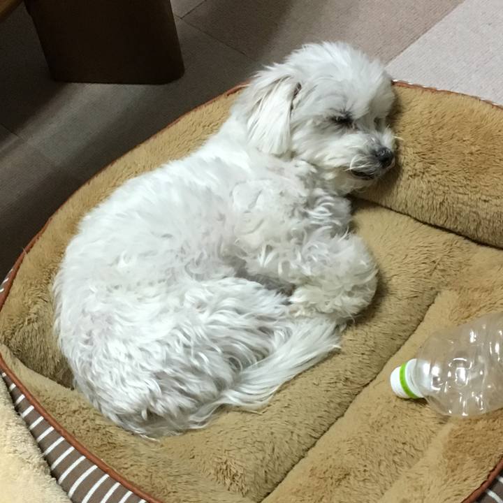 D37aee00 9b97 437a 97a9 00d002b2473e 1552312516838