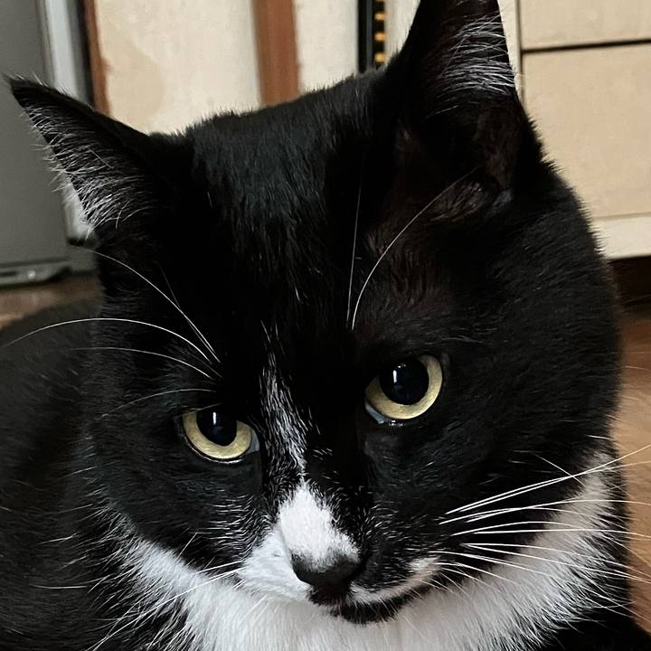 D37aee4e 4567 45cb b113 ded1b13673bd 1686370225592