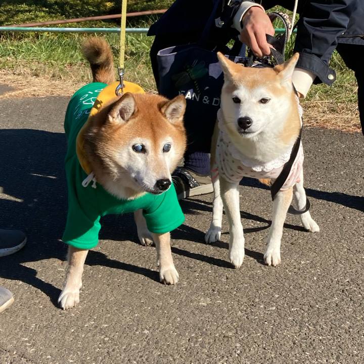 D37b1c65 17e5 4903 b3e5 5152a16b9f2b 1703477300419