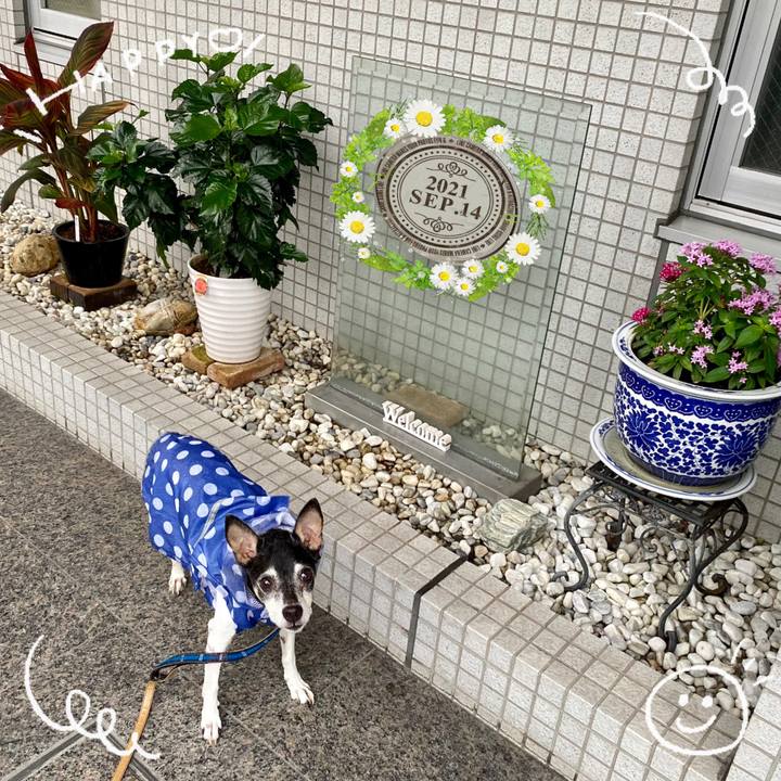 D37b484f 1d93 42a0 8c6c 02fbe539978b 1631575097380