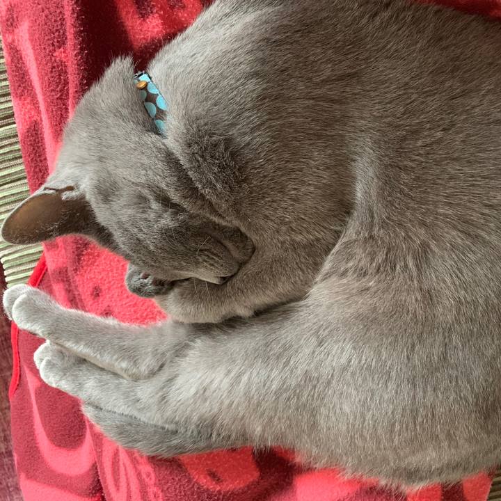 D37b99cc c420 4de1 b25a f3d249b88766 1579658959299