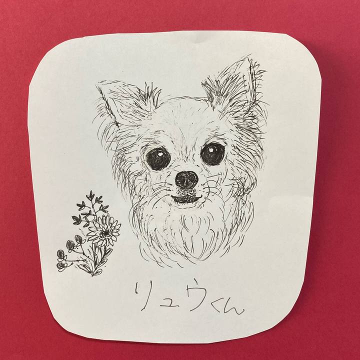 D37ba153 c906 4320 bc8d 648ed881f528 1621758041181