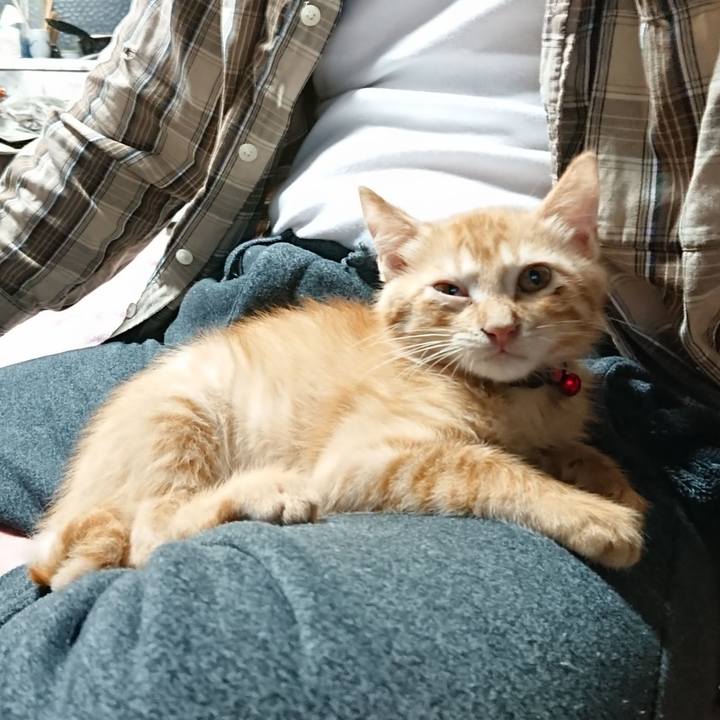 D37bc1c9 e74c 4ff2 a9f4 d5de727f1b3e 1630669980140