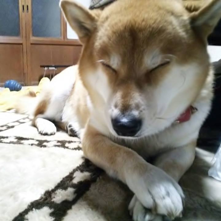 D37bd458 317b 4f3b bfa5 7f58852c3c62 1514202853378