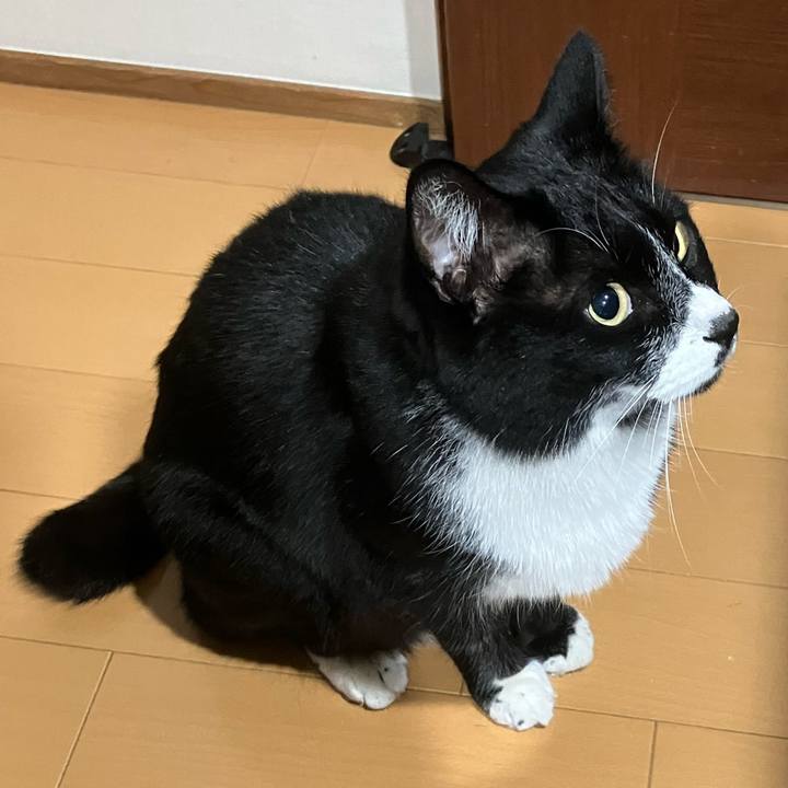 D37bdcda a042 4102 bd96 a3bdeeb71a3f 1682999612351