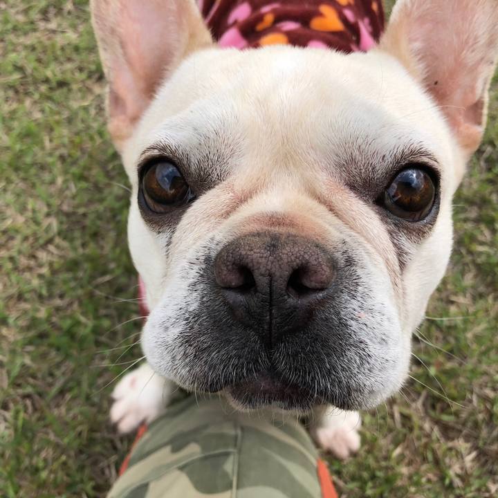 D37be999 ca2b 4c54 b6d9 a5514db43d9d 1523901181158