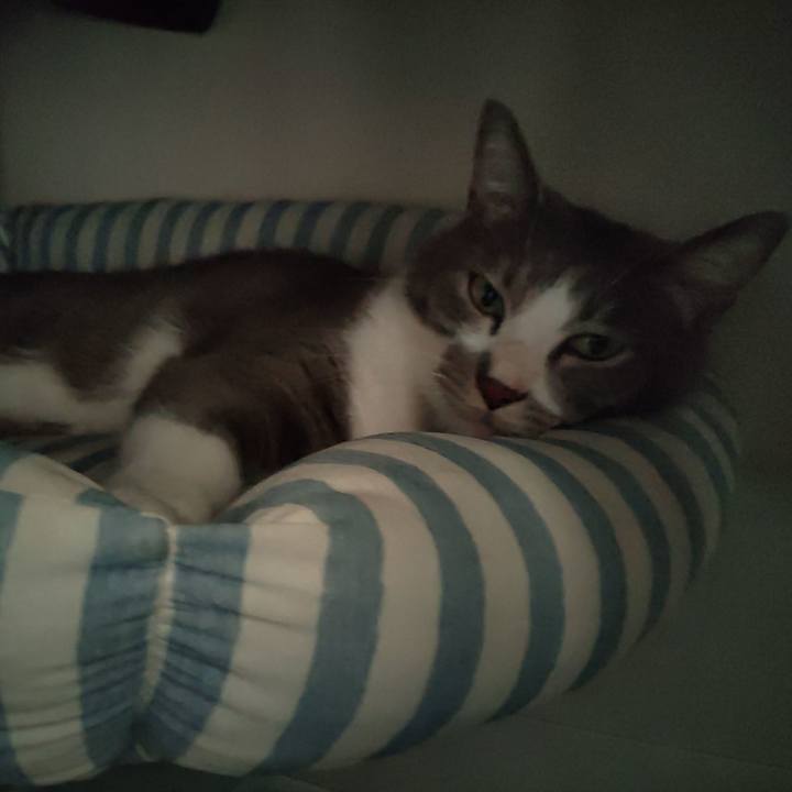 D37c3815 3f4b 4e69 8ce2 96b5eba7c114 1662265923997