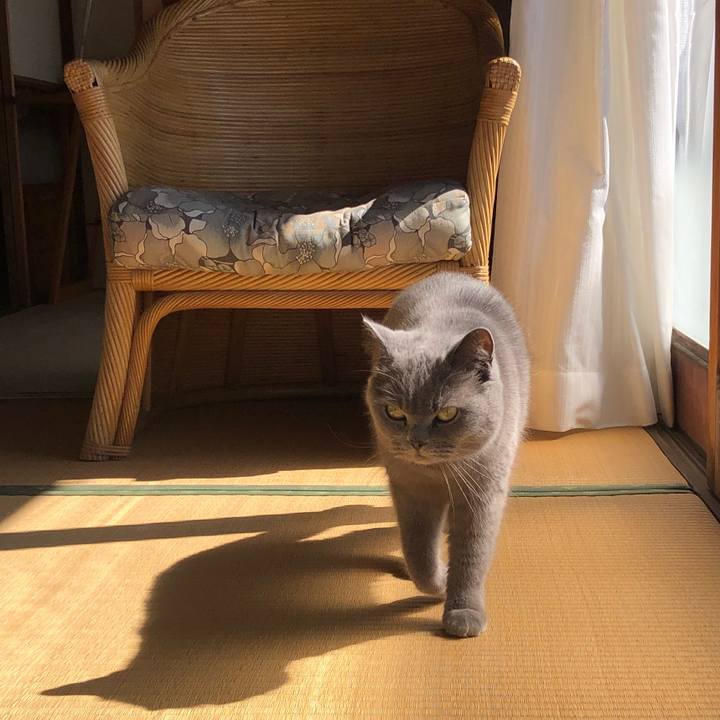 D37c398e 331f 4d77 8644 01ccba356c59 1582876653390