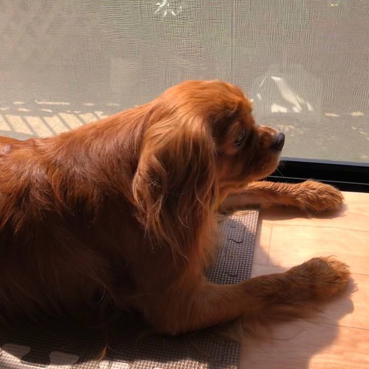 D37c5775 04c4 41e4 8255 7971f3ca7610 1559601724581