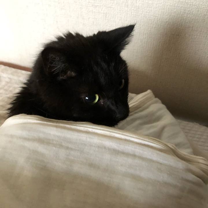 D37c922e 4c16 43c4 83d1 cd99fee7581a 1628548033653