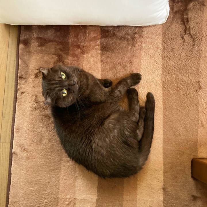 D37caede 14a4 45b5 b014 dfb861d9bcea 1635691330688