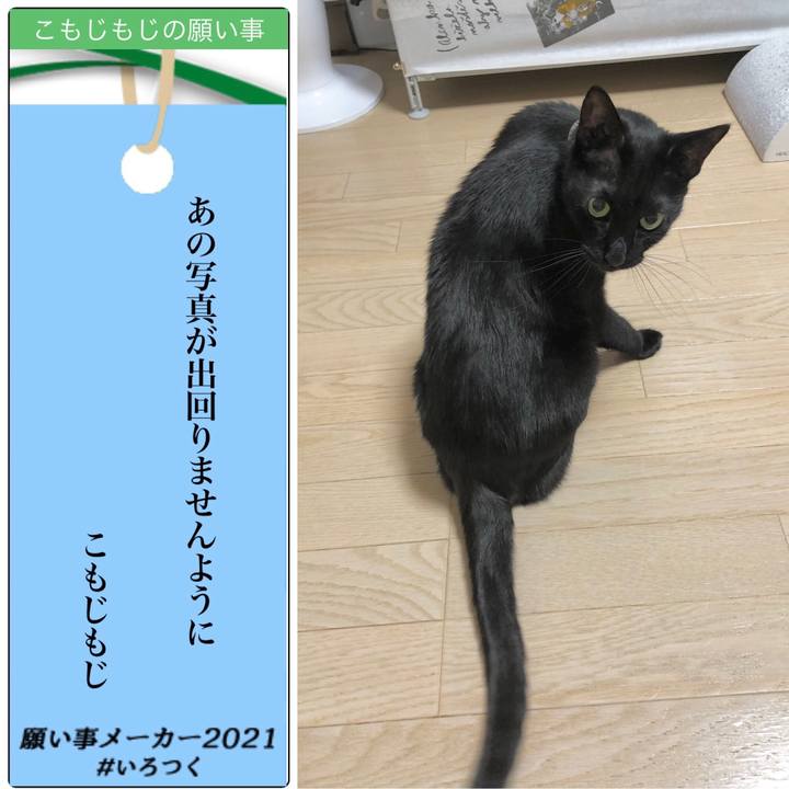 D37d234a 64d5 4fcc 92f5 c06b78686893 1625576724264