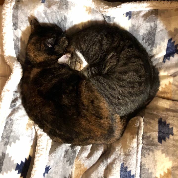 D37d4120 47bc 4cb1 b9b1 a51ac409392a 1603690509242