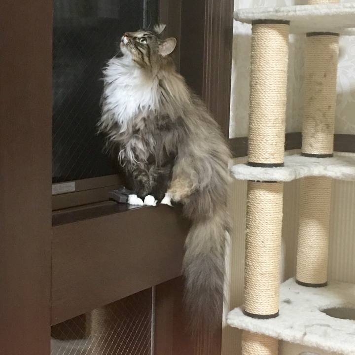 D37d5115 de83 4f98 9c68 2685c4849802 1509845620591