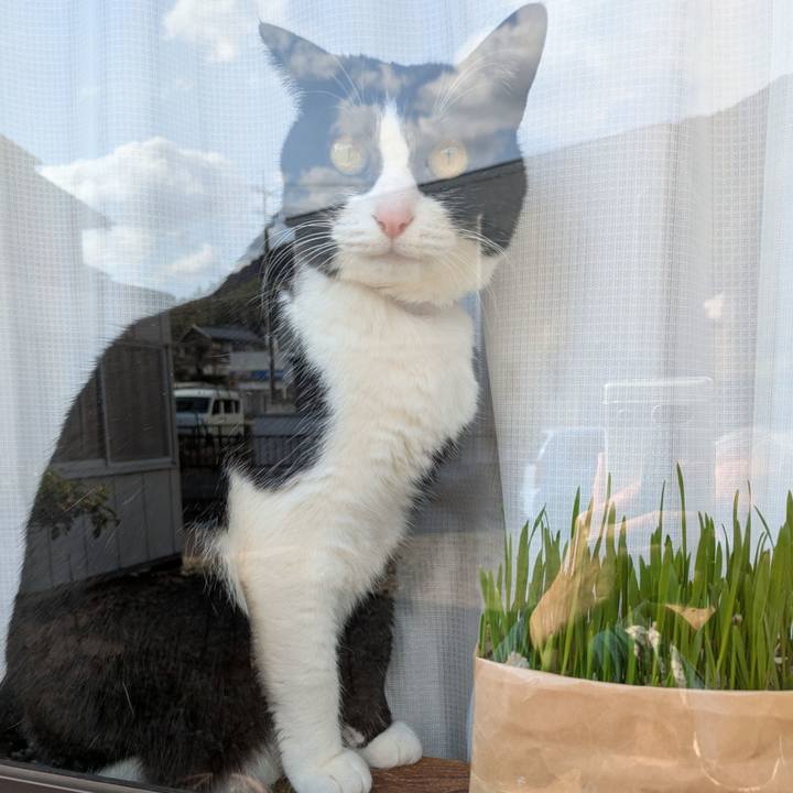 D37d5497 88d5 4eac a8c2 632d71b6c9a5 1768135297642