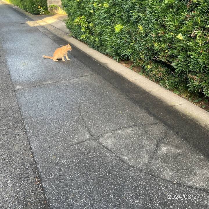 D37da5f8 1fd8 41e9 9297 96065cf85c23 1724710417635