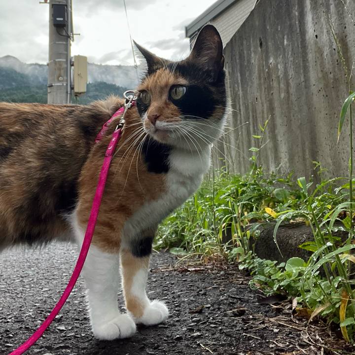 D37dad67 0de8 4ac4 b2ee d61ca1cd9ed1 1662681264376