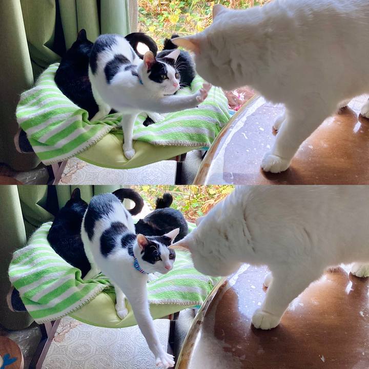 D37daeeb ec22 410a 89e9 e4e300acbd14 1636354703781