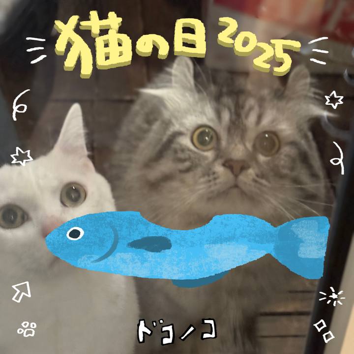 D37dd1df ebfa 44ab b77a b636b8267113 1740155783281